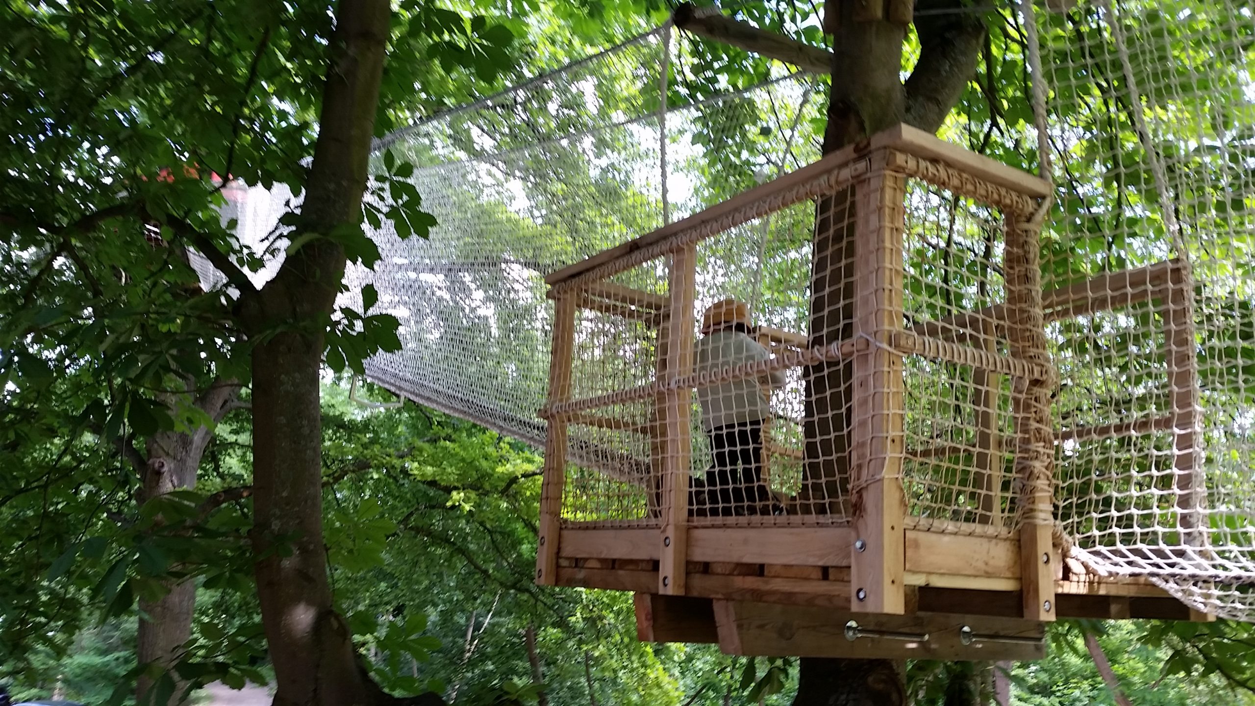 HIGHT BRIDGE COURSES (12)